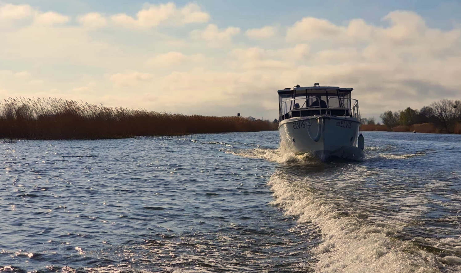 Elvis zdjęcie Aquaczarter czarter pętlą żuławską