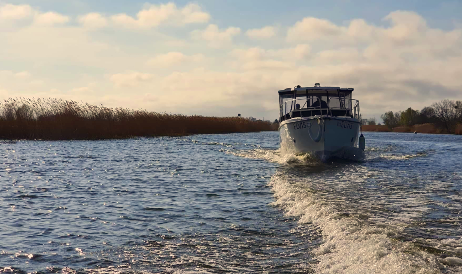 Elvis zdjęcie Aquaczarter czarter pętlą żuławską
